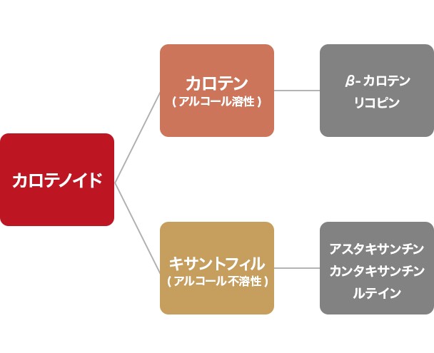 从饲料中提取油与色素迁移测试