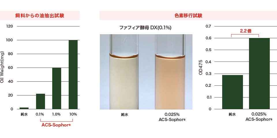 从饲料中提取油与色素迁移测试