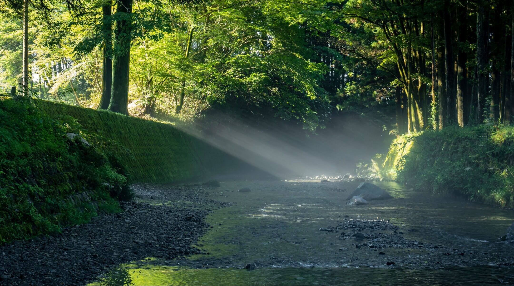 Finer Solutions for the Future.明日をもっとFINEにしたい