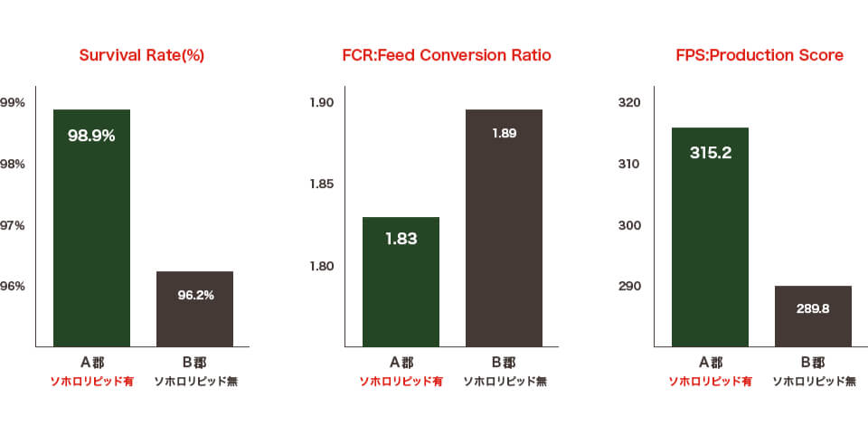 Experiments at an Antibiotic-free Poultry Farm