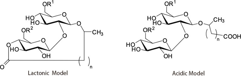 The Chemical Structure of Sophorolipids