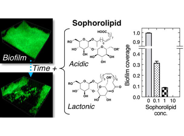 Inhibition of Biofilm Formation